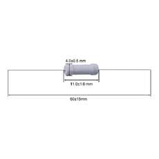 Resistencia 10R 1W 5%