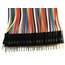 Cables dupont macho -macho 40 unidades 30 cm