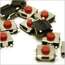 Push button micro